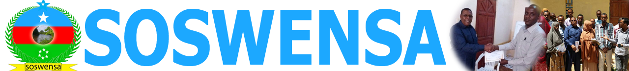 Somali Southwest Non-State Actors Logo
